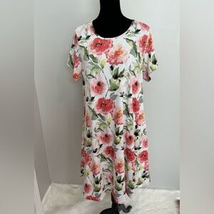 LulaRoe Jesse Dress